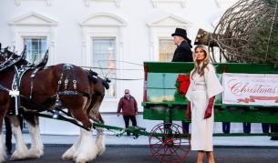 <p>Мелания посрещна коледното дърво на Белия дом (СНИМКИ)</p>