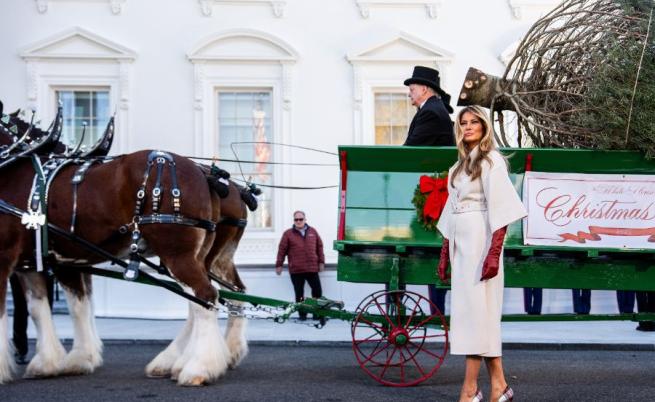 Мелания посрещна коледното дърво на Белия дом след скандала от първия мандат на Тръмп
