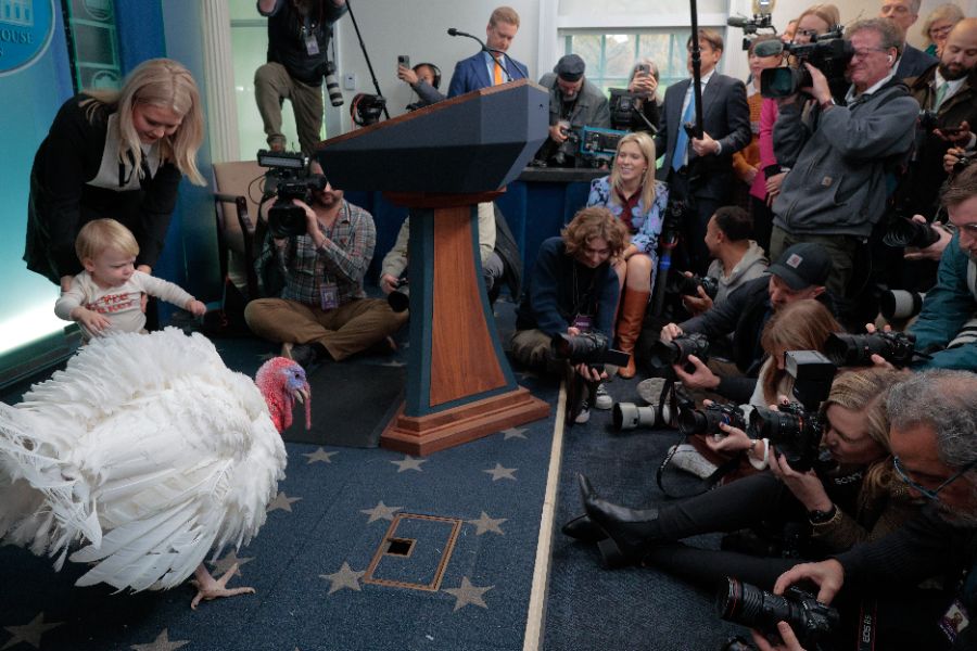 <p>Тръмп помилва пуйки, но не пощади политическите си опоненти.</p>