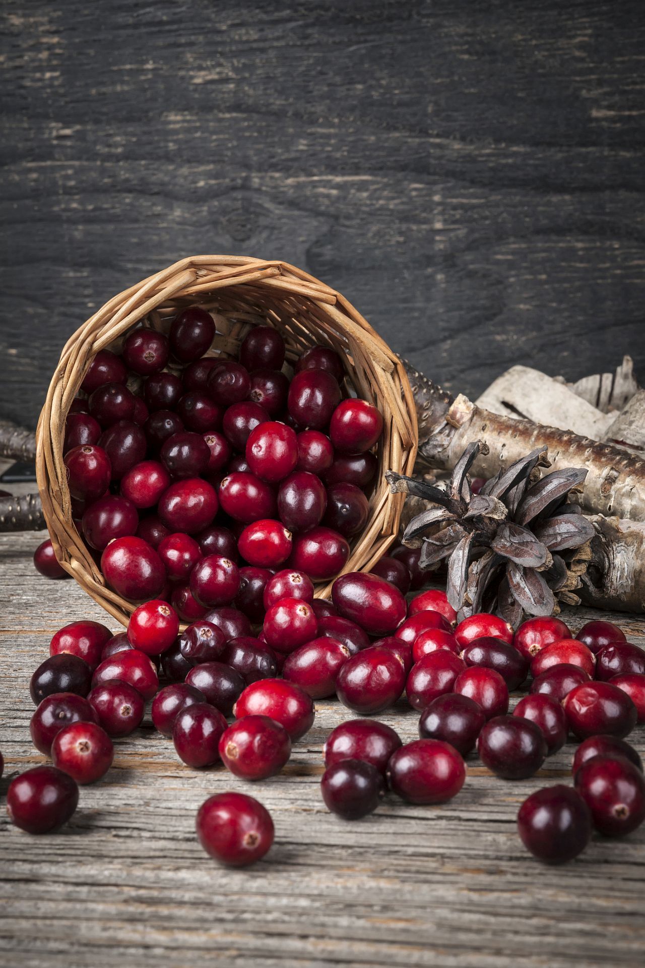 <p><strong>Червени боровинки</strong></p>

<p>Четвъртият плод са червените боровинки &ndash; класически за празнични рецепти. Те са известни с подпомагането при инфекции на пикочните пътища, като съдържат проантоцианидини, които пречат на бактерии като E. coli да се задържат в уринарния тракт.</p>