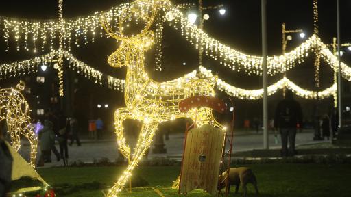 Коледната елха на София грейна