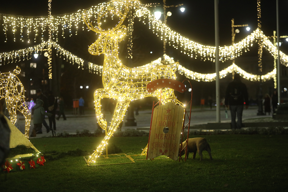 <p>Коледната елха на София грейна тази вечер с над 20 000 светлини.</p>