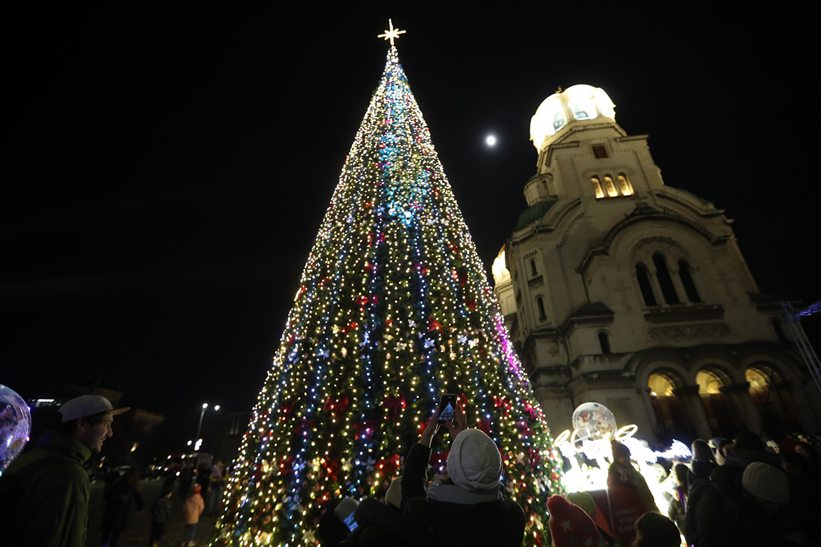 <p>София елха</p>