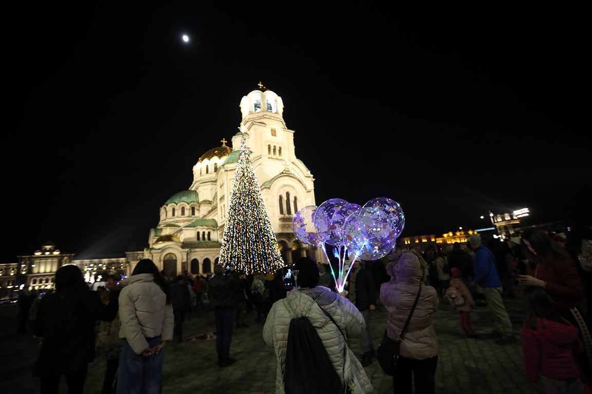 <p>София елха</p>