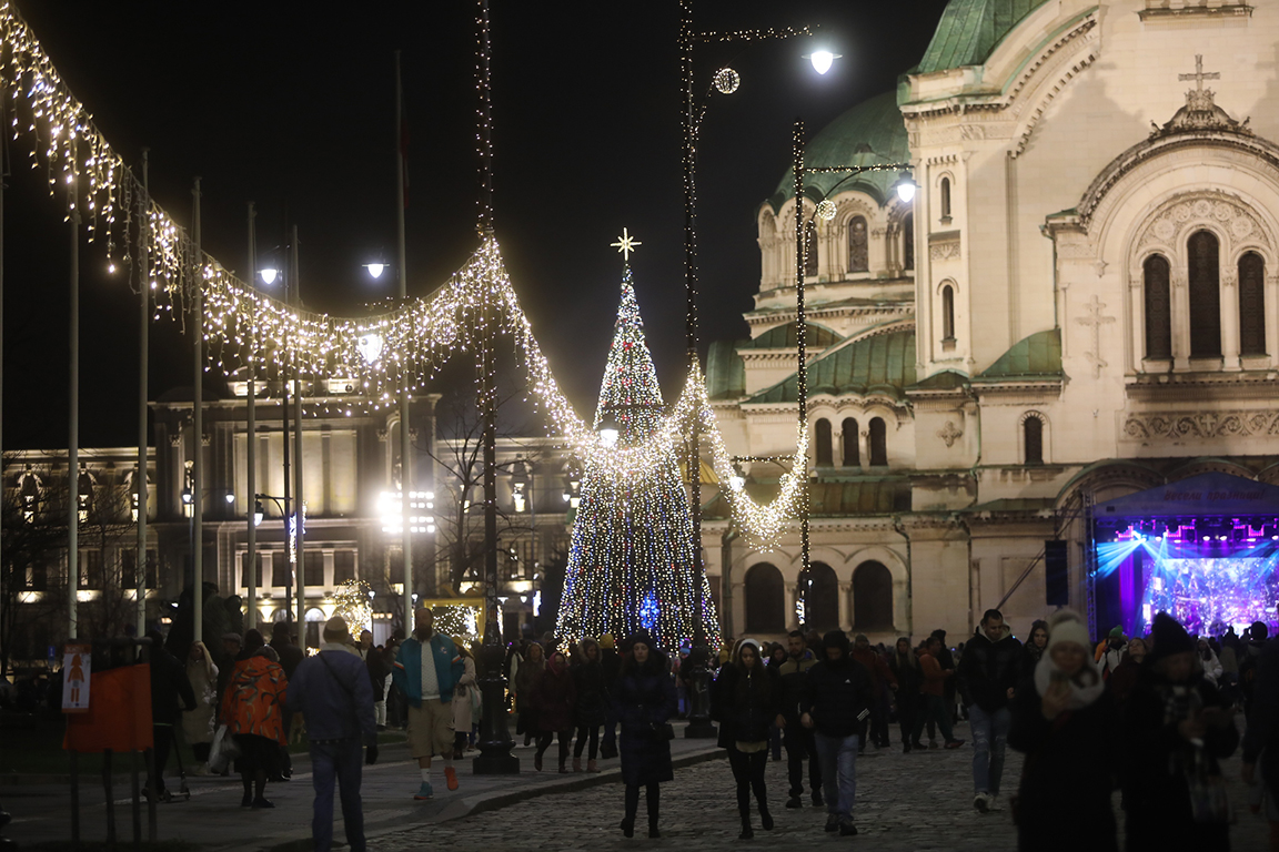 <p>София елха</p>