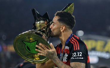 Фламенго е новият шампион на Бразилия