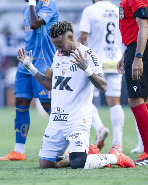 Сантос Крузейро1