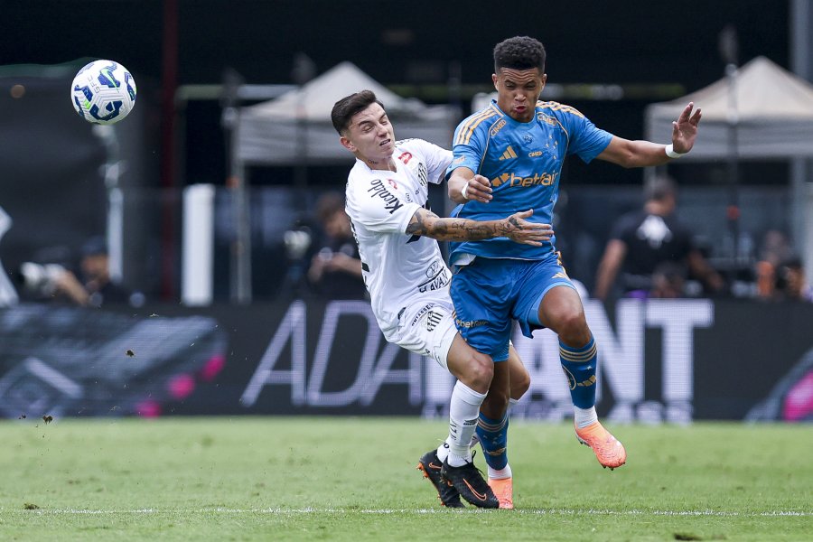 Сантос Крузейро1