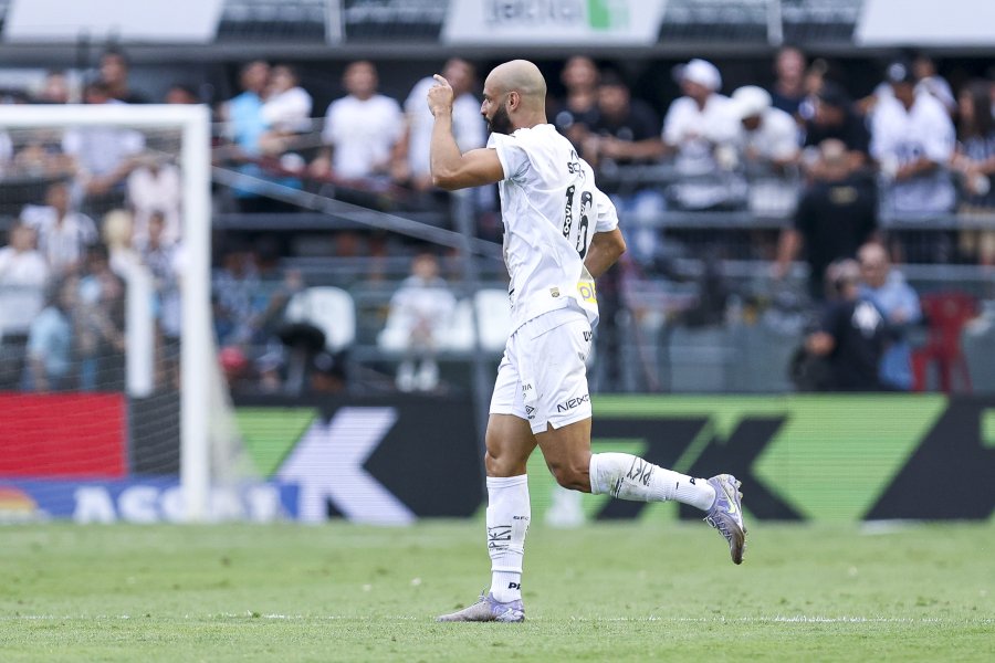 Сантос Крузейро1