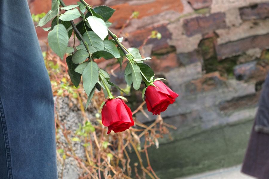 <p>Последно сбогом Найден Вълчев. Авторът на текста на популярната през 70-те години песен &bdquo;Една българска роза&ldquo; почина на 98-годишна възраст на 3 декември.</p>