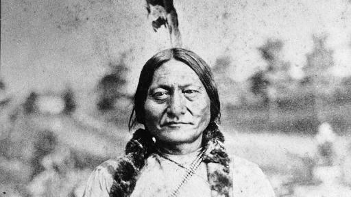 Седящият бик