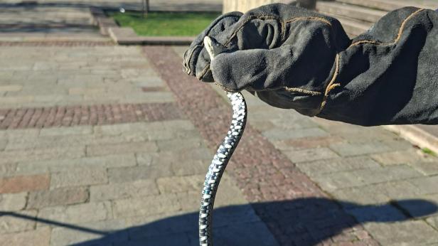 Хванаха усойница в центъра на Смолян