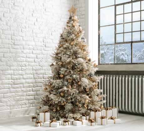 Един от символите на Бъдни вечер Коледа и Нова година