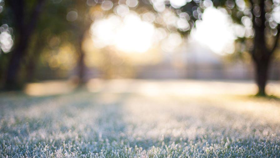 Времето в понеделник: Слънчево, но с мъгли и до 12°