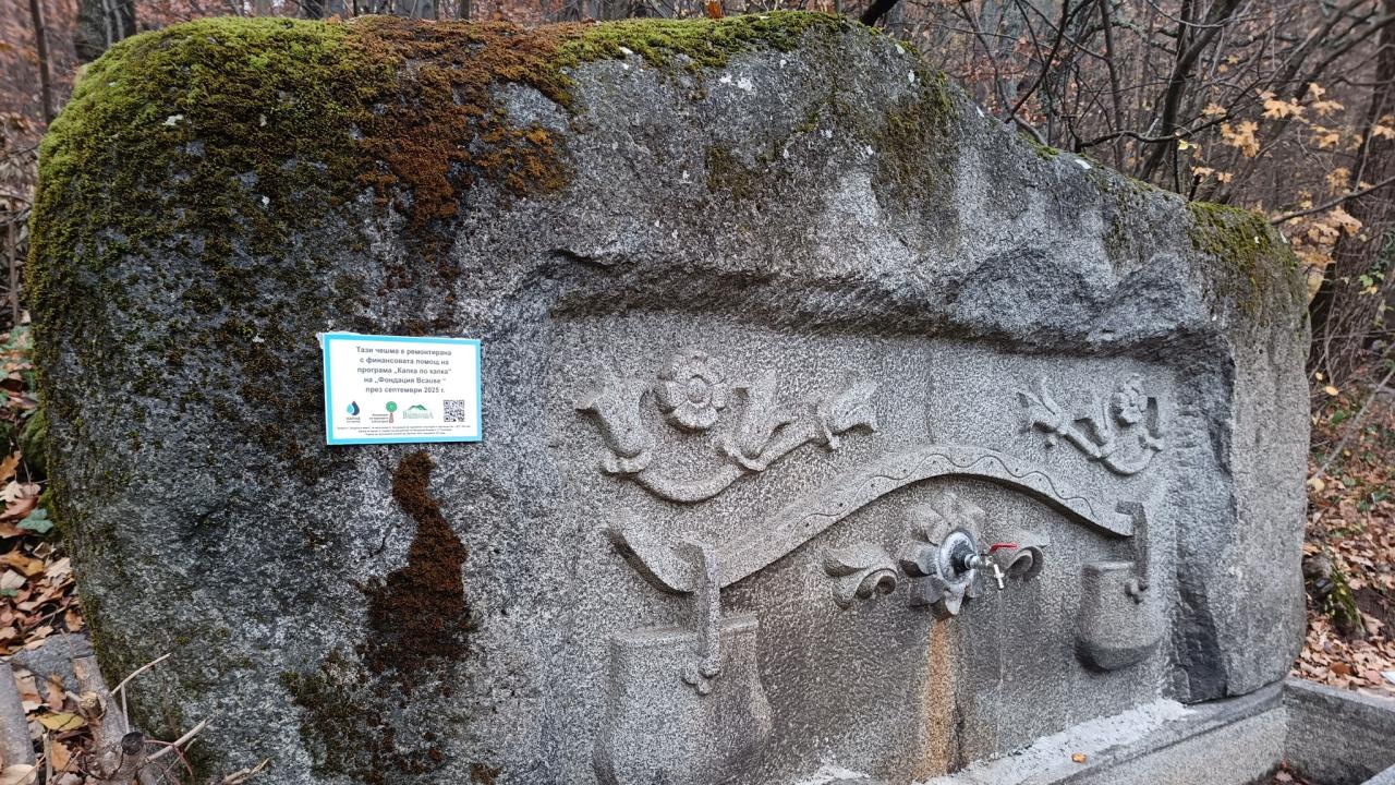 Чешмите във Витоша