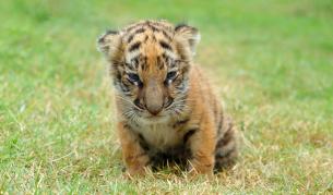 Снимката е илюстративна