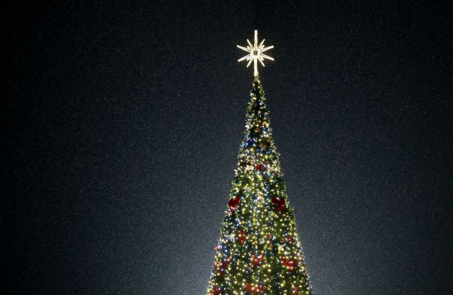 <p>Патриарх Даниил на Бъдни вечер: Христос е смисълът и бъдещето на човечеството</p>