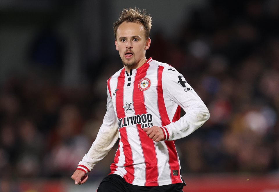 Микел Дамсгор