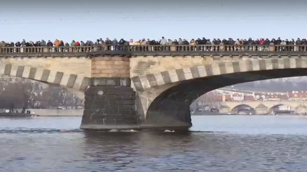 Коледно моржуване в Прага