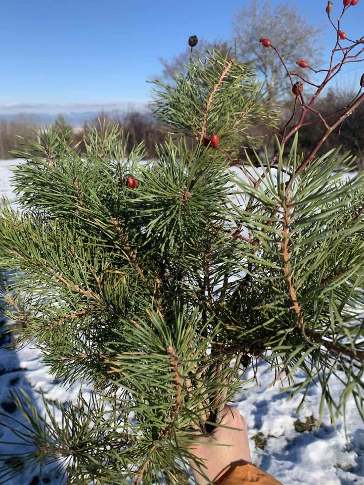 <p>Смислени отпечатъци за финал на годината и начало на следващата</p>