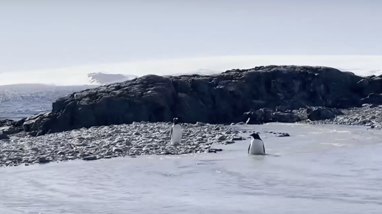 Нова година на Антарктида