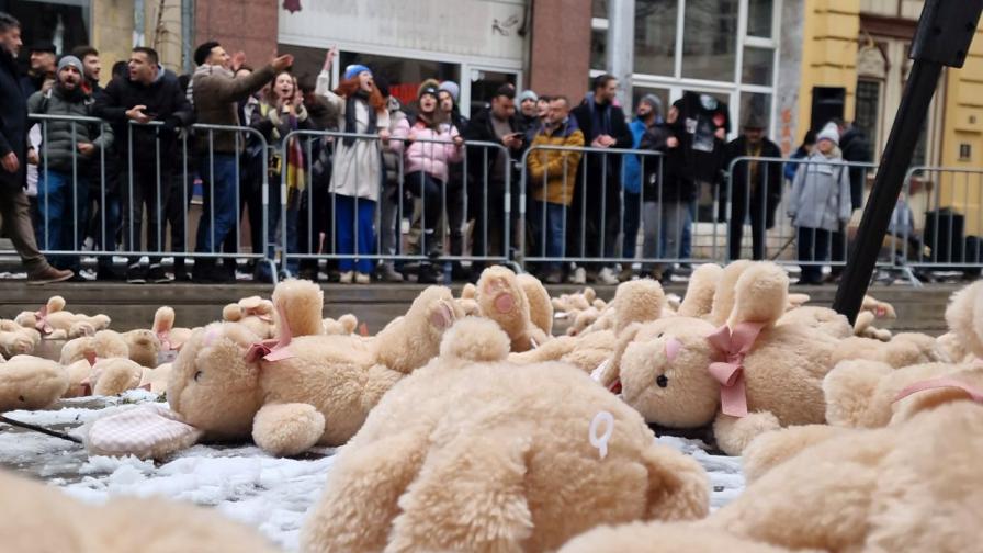 Розови зайчета срещу Сарафов: Протестиращи блокираха ВСС с искане за оставка