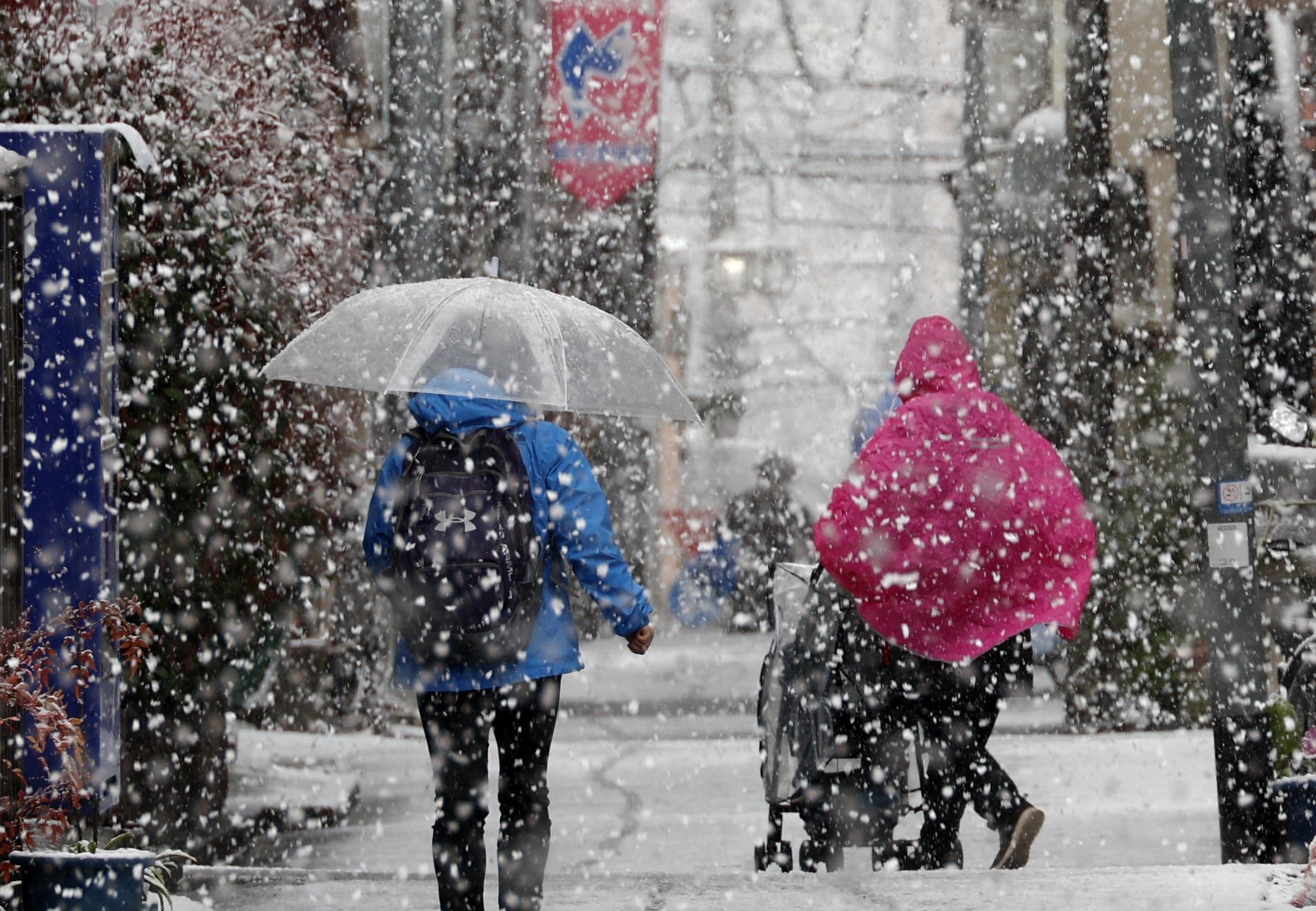 Силни снежни бури парализираха Япония, най-малко 16 души са загинали