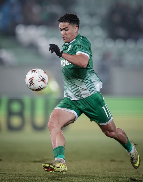 Лудогорец Ница1