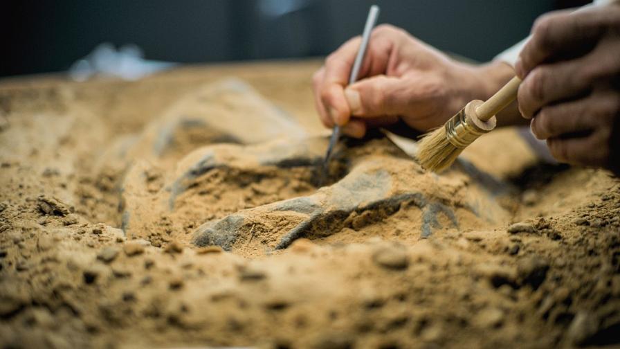 Мистериозни символи по целия свят загатват за изгубена цивилизация