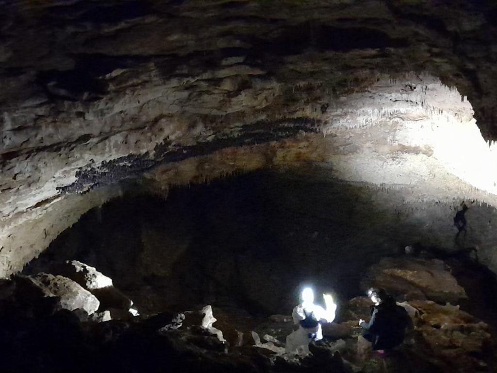 Прилепни колонии в пещера "Бисерна"