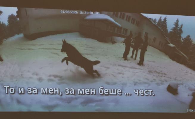 Хронология на странното сбогуване и последните часове в хижа „Петрохан“