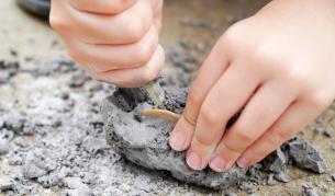 11-годишно дете откри вкаменелост на 48 млн. години