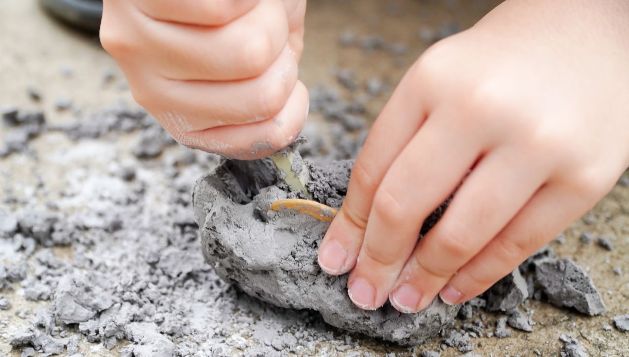 11-годишно дете откри вкаменелост на 48 млн. години