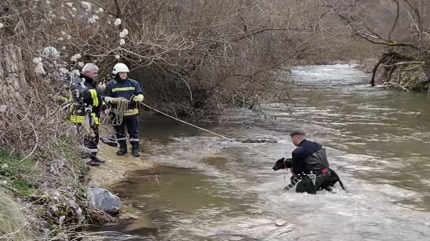 Пожарникари спасиха куче от удавяне