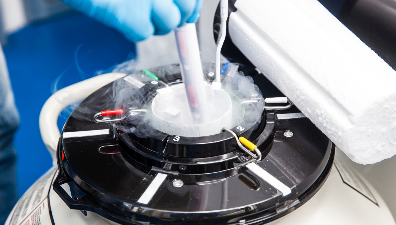 „Застраховка“ за живот след смъртта: Украински войници масово замразяват генетичен материал