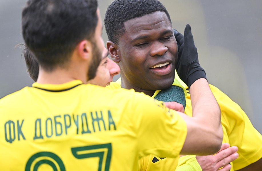 Добруджа Монтана1