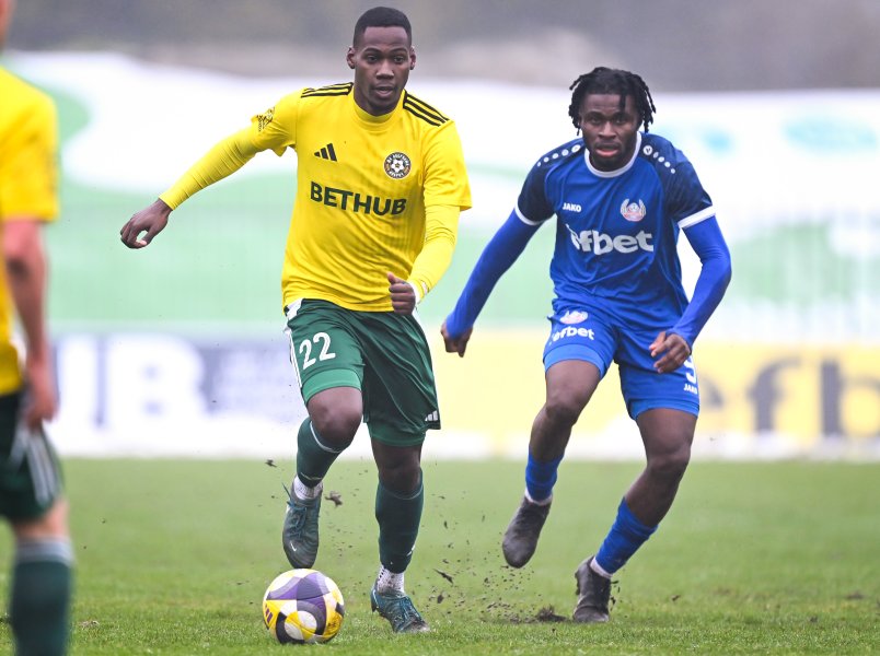 Добруджа Монтана1