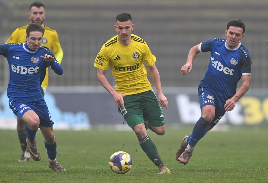 Добруджа и Монтана1