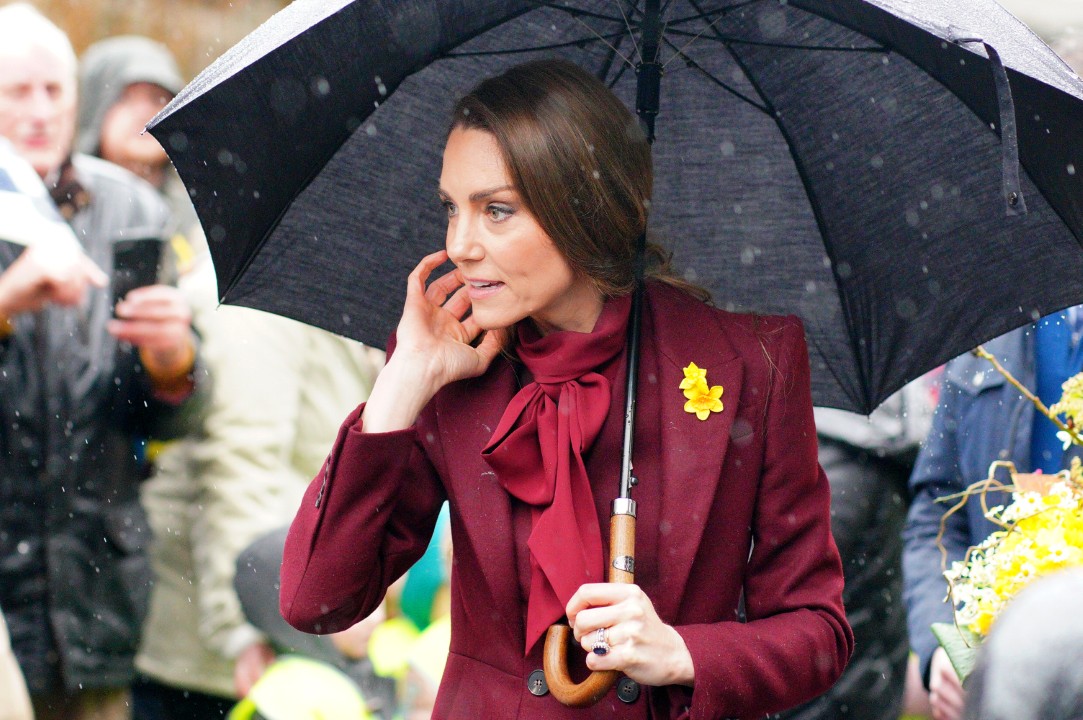 <p>При посещение в Уелс принцеса Кейт учтиво отказа автограф на фен поради кралския протокол, забраняващ подписи заради риск от фалшификации. Тя впечатли със стилна визия в бордо и подчерта значението на професионалното поведение по време на ангажименти</p>