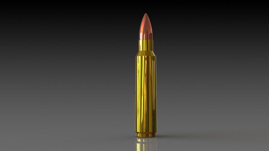 <p>7 март: Един куршум в сърцето на Прехода</p>