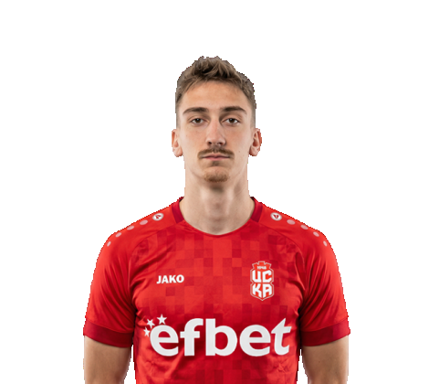 Флориан Кребс