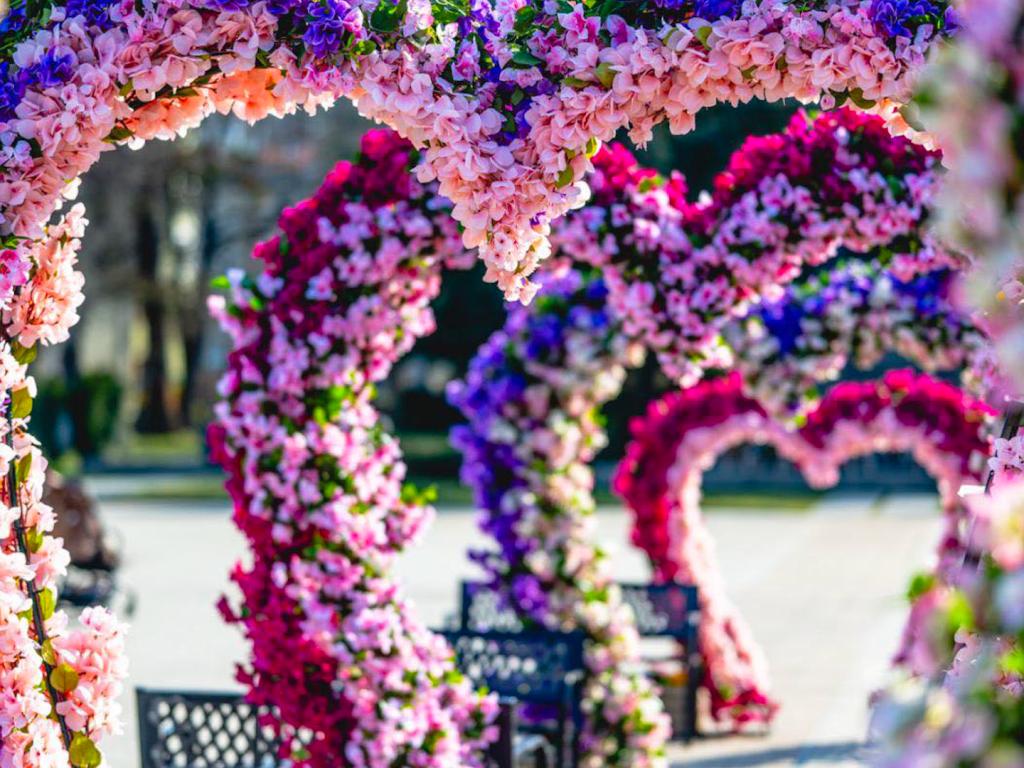 Враца грее за 8 март