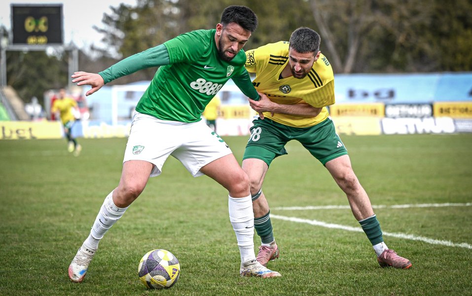 Добруджа Берое1