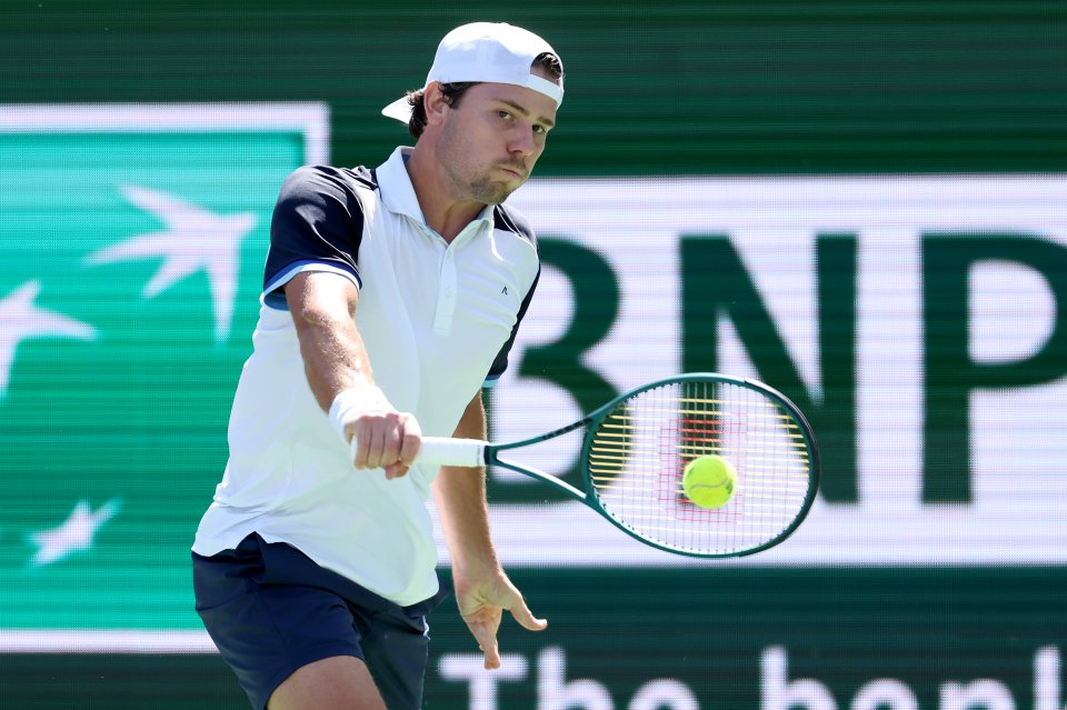 Александър Ковачевич