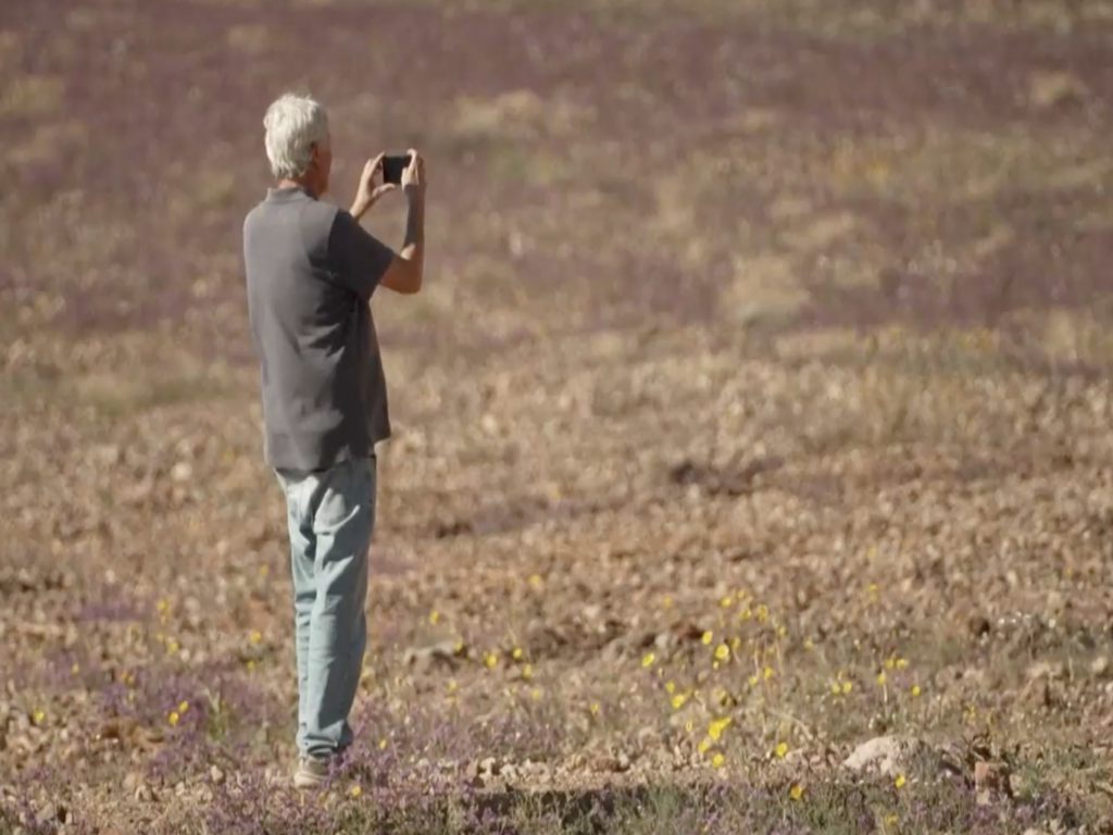 Суперцъфтеж в Долината ма смъртта