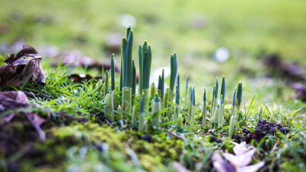 Април идва с пролетен хлад и дъждове