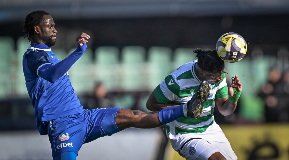 Черно море Монтана1