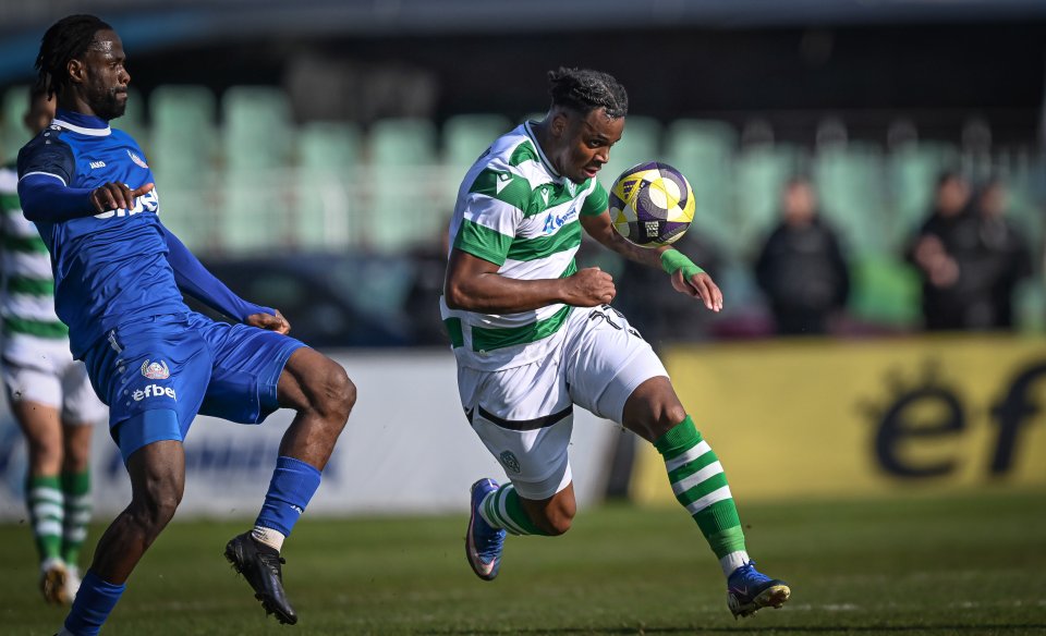 Черно море Монтана1