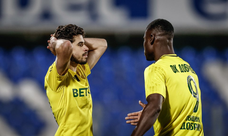 Арда Добруджа1