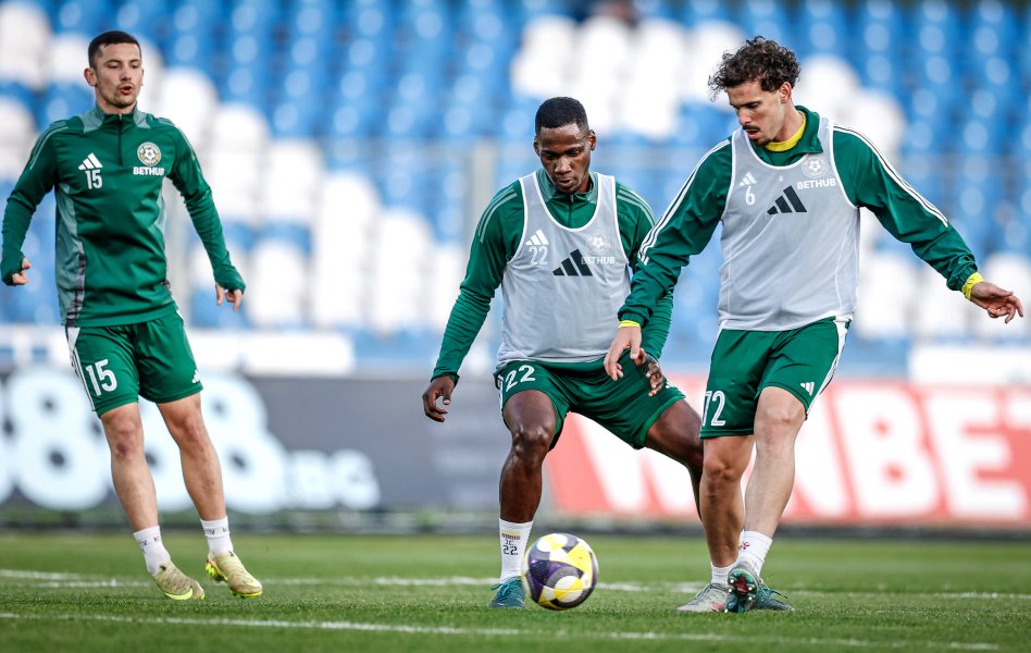 Арда Добруджа1